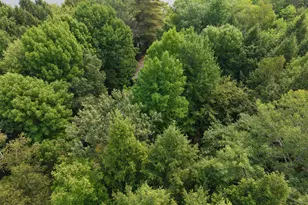 1469 Kennebec River Rd, ConnorTownship, ME 04920 - Photo 41