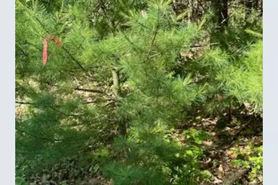 Lot #8 Bonnie Way, Winterport, ME 04496 - Photo 9