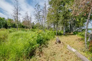 1 Sebec River Island, Milo, ME 04463 - Photo 47