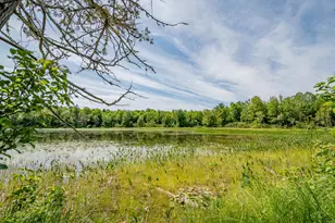 1 Sebec River Island, Milo, ME 04463 - Photo 41