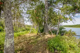 1 Sebec River Island, Milo, ME 04463 - Photo 49