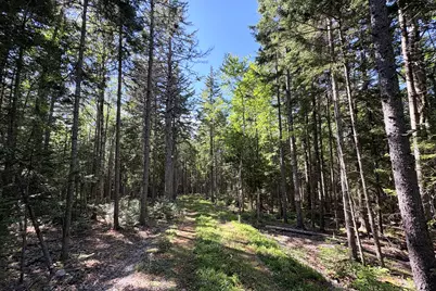 00 Periwinkle Lane, Brooklin, ME 04616 - Photo 13