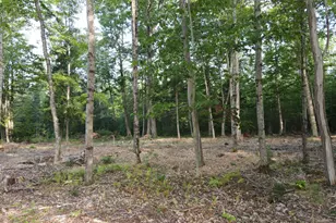 Lot 6 Oak Pond Rd, Skowhegan, ME 04967 - Photo 1