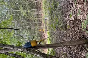 677 Benner Rd, Bristol, ME 04539 - Photo 7