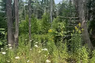 41 Broad Cove Road W, Waldoboro, ME 04572 - Photo 1