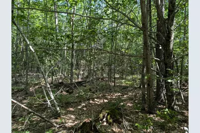 0 Beech Ridge Road, Scarborough, ME 04074 - Photo 9