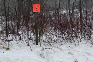 C McDonald Rd, Castle Hill, ME 04757 - Photo 1