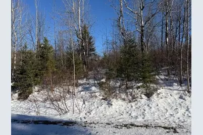 E McDonald Road, Castle Hill, ME 04757 - Photo 3