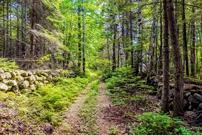 138 Bray Hill Road, Phillips, ME 04966 - Photo 77