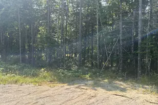 10 Bufford Dr, Waltham, ME 04605 - Photo 1