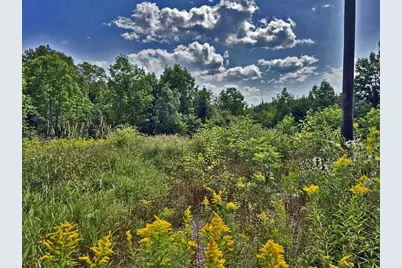 1020 County Road, New Limerick, ME 04761 - Photo 3