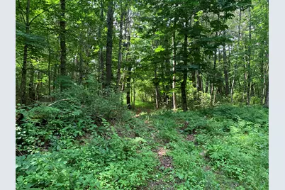 Lot 12 Hallowell Road, Litchfield, ME 04350 - Photo 13