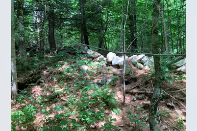 Lot 12 Hallowell Road, Litchfield, ME 04350 - Photo 15