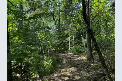 Lot 005 State Route 46 Route, Bucksport, ME 04416 - Photo 21