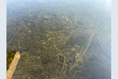 262 North Shore Road, Lake View Plantation, ME 04463 - Photo 95