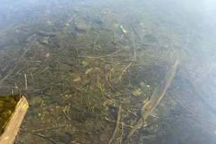 262 N Shore Rd, Lake View Plantation, ME 04463 - Photo 95