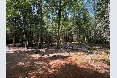 31 Sportsmen's Lodge Road, Marshfield, ME 04654 - Photo 33