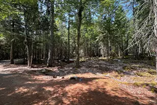 31 Sportsmen's Lodge Rd, Marshfield, ME 04654 - Photo 33