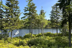 31 Sportsmen's Lodge Rd, Marshfield, ME 04654 - Photo 5