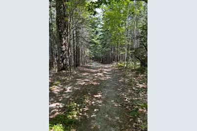 31 Sportsmen's Lodge Road, Marshfield, ME 04654 - Photo 35