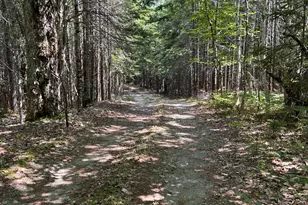 31 Sportsmen's Lodge Rd, Marshfield, ME 04654 - Photo 35