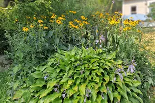 5 Penniman Rd, Bristol, ME 04554 - Photo 57