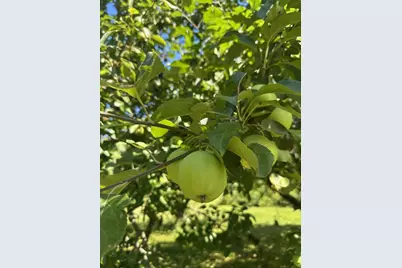 967 Meadow Road Road, Casco, ME 04015 - Photo 3