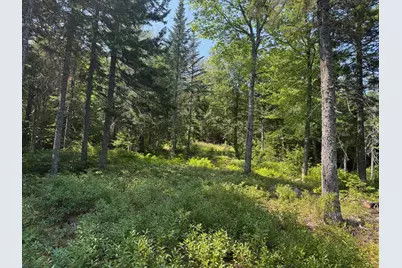 3 Steam Mill Road, Robbinston, ME 04671 - Photo 11