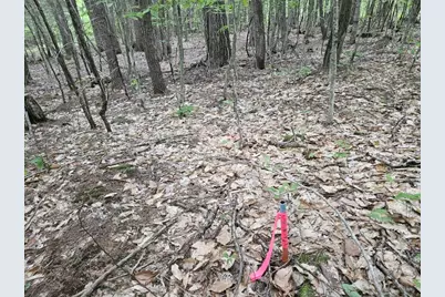 M10L44 Mountain View Road, Fryeburg, ME 04037 - Photo 25