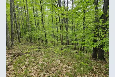 M10L44 Mountain View Road, Fryeburg, ME 04037 - Photo 19