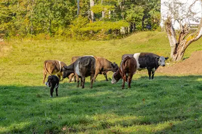 68-70 Brixham Road, York, ME 03909 - Photo 47