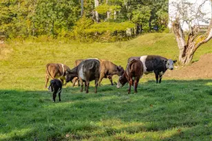 68-70 Brixham Rd, York, ME 03909 - Photo 47