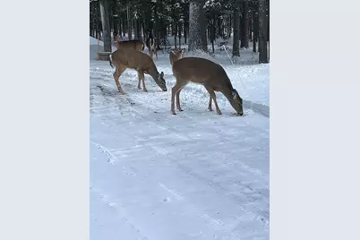378 Mingo Loop Road, Rangeley, ME 04970 - Photo 15