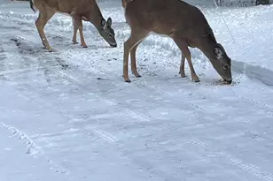 378 Mingo Loop Rd, Rangeley, ME 04970 - Photo 15
