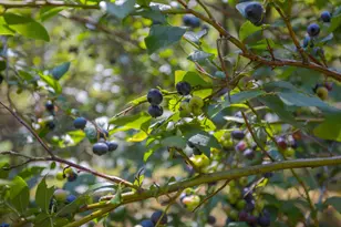 72 Main St, Peru, ME 04290 - Photo 77