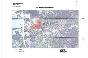 M11L114 5G New Sweden Rd, New Sweden, ME 04762 - Photo 27