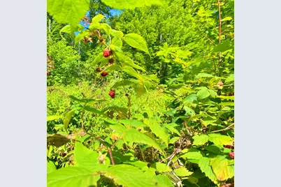 M11L114.5G New Sweden Road, New Sweden, ME 04762 - Photo 19