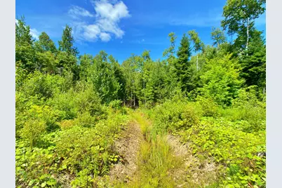 M11L114.5G New Sweden Road, New Sweden, ME 04762 - Photo 13