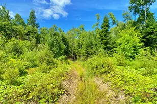 M11L114 5G New Sweden Rd, New Sweden, ME 04762 - Photo 13