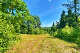 M11L114 5G New Sweden Rd, New Sweden, ME 04762 - Photo 5