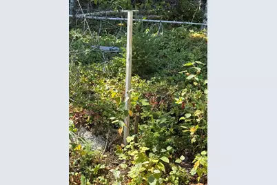 Lot 13 Red Rock Estates, Pembroke, ME 04666 - Photo 11