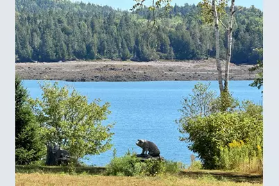 Lot 13 Red Rock Estates, Pembroke, ME 04666 - Photo 13