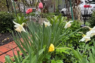 49 Deering St, Portland, ME 04101 - Photo 93