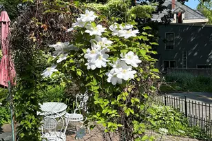 49 Deering St, Portland, ME 04101 - Photo 89