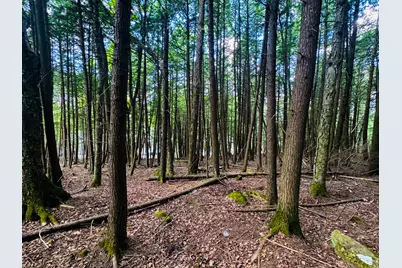 M11 Loon Lane, Saint Albans, ME 04971 - Photo 9