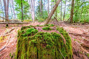 507 Norway Rd, Harrison, ME 04040 - Photo 71