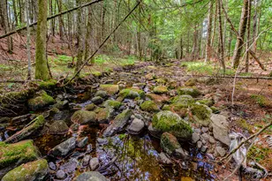 507 Norway Rd, Harrison, ME 04040 - Photo 69