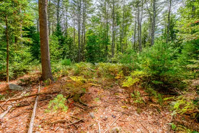 507 Norway Road, Harrison, ME 04040 - Photo 63
