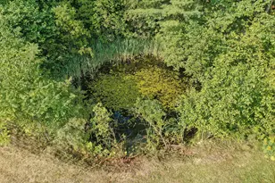 175 Loggin Rd, Frankfort, ME 04438 - Photo 63