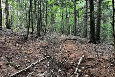 57&57D Tinker Ln and Pointer Way, Cumberland, ME 04021 - Photo 9